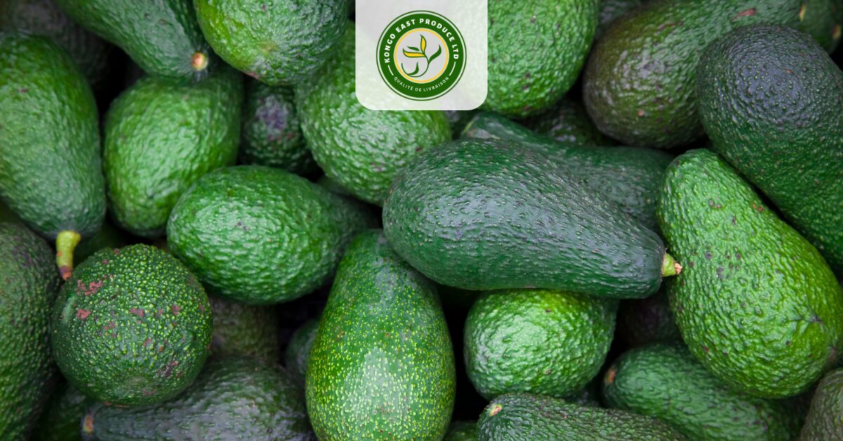 What Sets Kongo East’s Avocados Apart? A Closer Look at Quality and Consistency