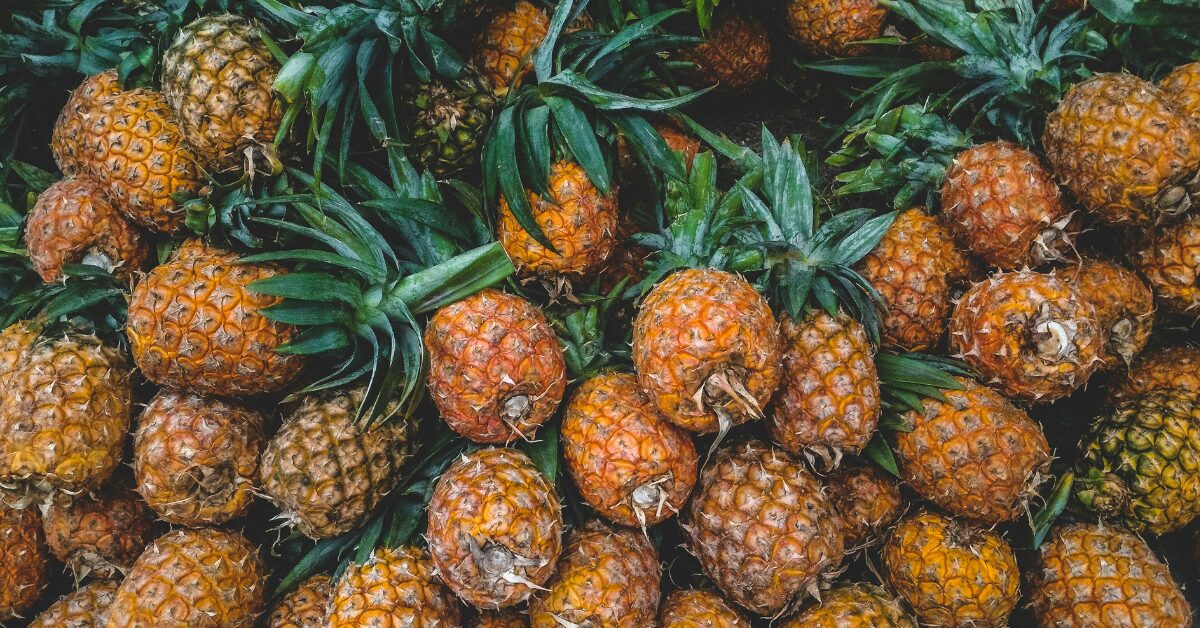 Why Kenyan Pineapples Are Gaining Attention in International Markets